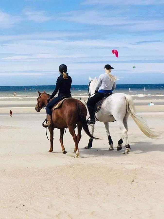 Duplex Villa Capricia Appartement Met Zwembad Nieuwpoort Jachthaven Dış mekan fotoğraf