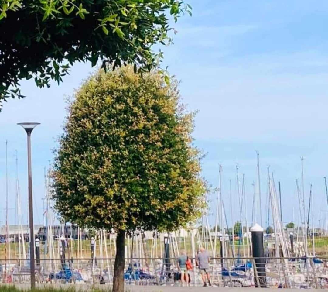 Duplex Villa Capricia Appartement Met Zwembad Nieuwpoort Jachthaven Dış mekan fotoğraf