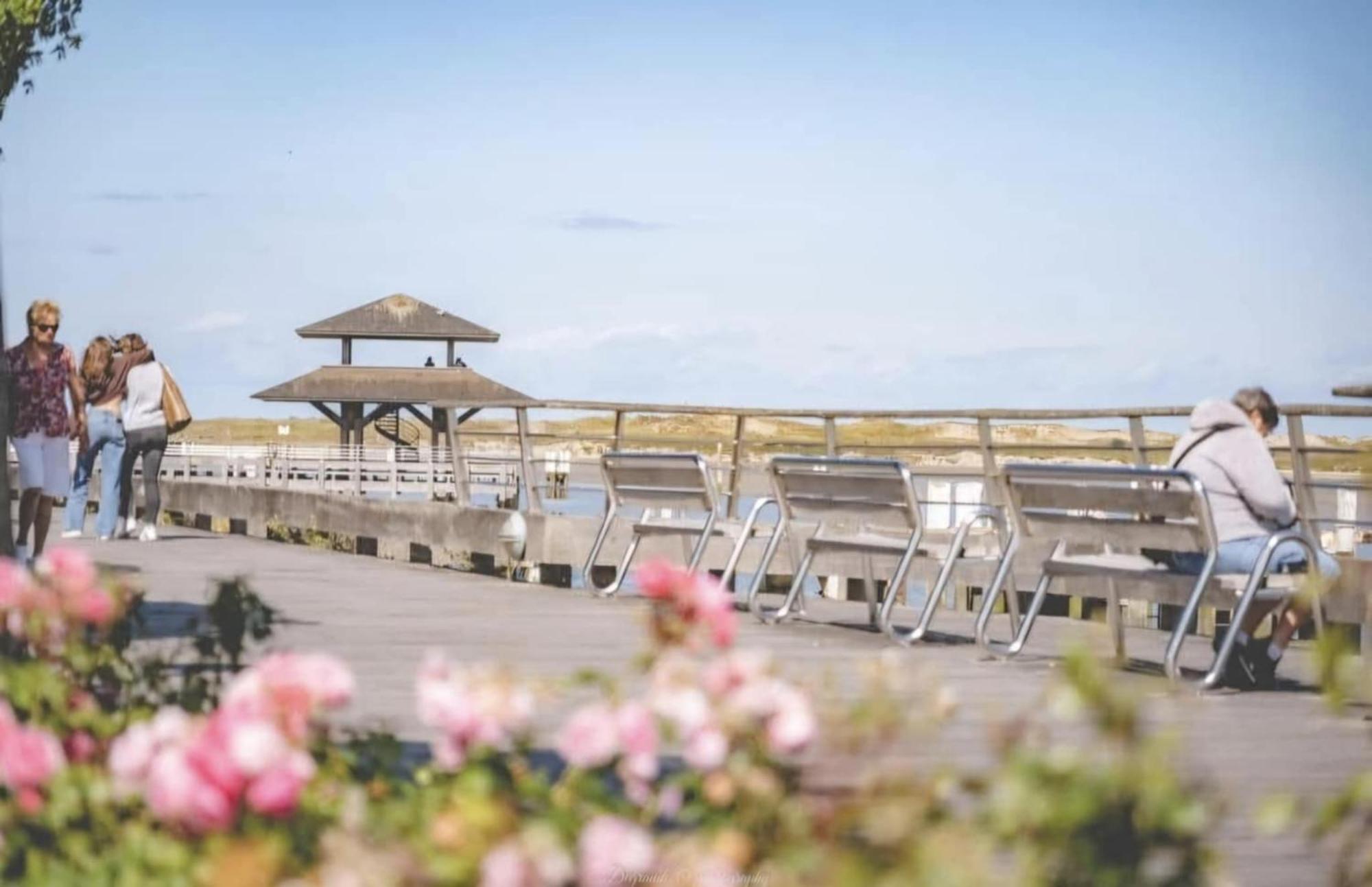 Duplex Villa Capricia Appartement Met Zwembad Nieuwpoort Jachthaven Dış mekan fotoğraf